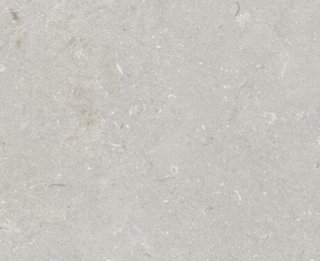 Gres para suelo de 60 x 120 cm, gris claro mate, A4H1093 Shellstone Bianco