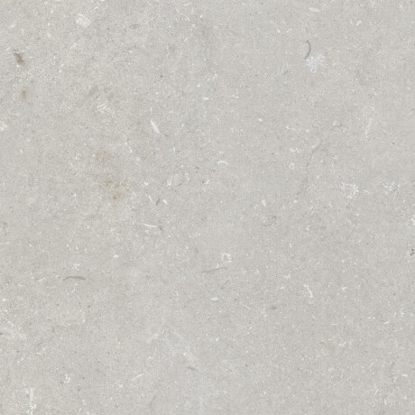 Gres para suelo de 60 x 120 cm, gris claro mate, A4H1093 Shellstone Bianco #1