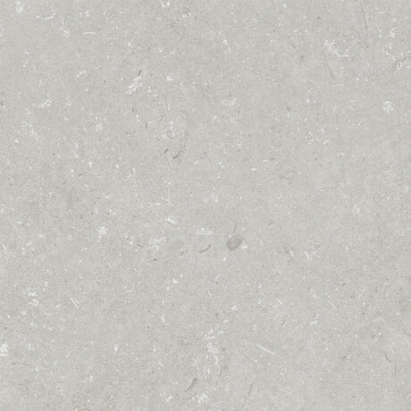 Gres para suelo de 60 x 120 cm, gris claro mate, A4H1093 Shellstone Bianco #2