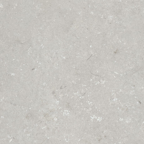 Gres para suelo de 60 x 120 cm, gris claro mate, A4H1093 Shellstone Bianco #3