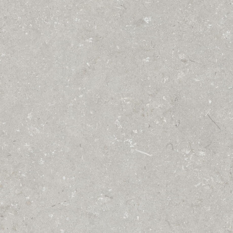Gres para suelo de 60 x 120 cm, gris claro mate, A4H1093 Shellstone Bianco #4