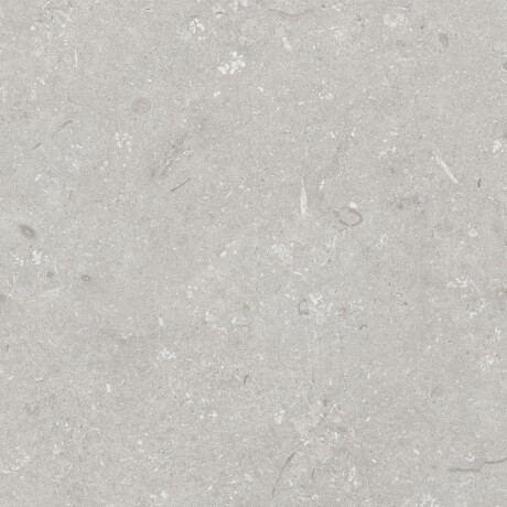 Gres para suelo de 60 x 120 cm, gris claro mate, A4H1093 Shellstone Bianco #5