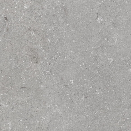 Gres para suelo, 60 x 120 cm, gris mate, A4H1096 Shellstone Grigio #4