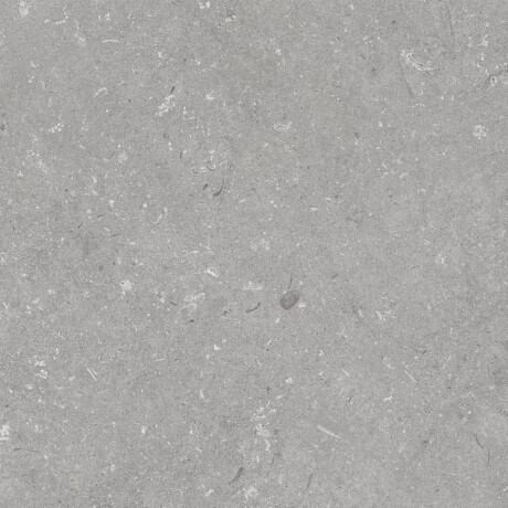 Gres para suelo, 60 x 120 cm, gris mate, A4H1096 Shellstone Grigio #5