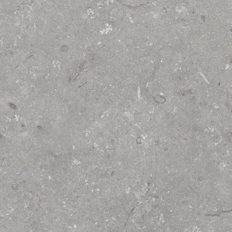 Gres para suelo, 60 x 120 cm, gris mate, A4H1096 Shellstone Grigio #8
