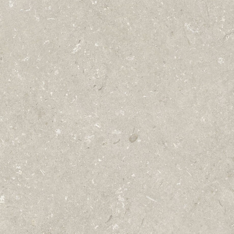 Gres para suelo de 60 x 120 cm, color beige mate, A4H1099 Shellstone Beige #4