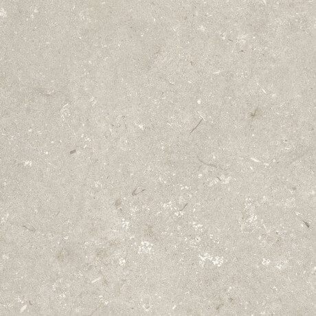 Gres para suelo de 60 x 120 cm, color beige mate, A4H1099 Shellstone Beige #5