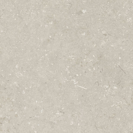 Gres para suelo de 60 x 120 cm, color beige mate, A4H1099 Shellstone Beige #6