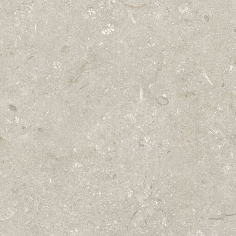 Gres para suelo de 60 x 120 cm, color beige mate, A4H1099 Shellstone Beige #7