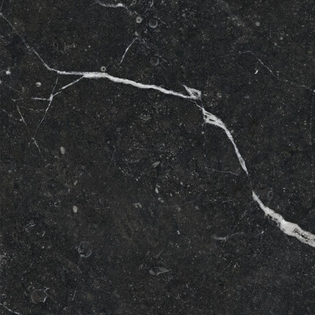 Gres esmaltado para suelo, 60 x 120, con vetas doradas, mate, rectificado, A4H110 Pierre Black #19