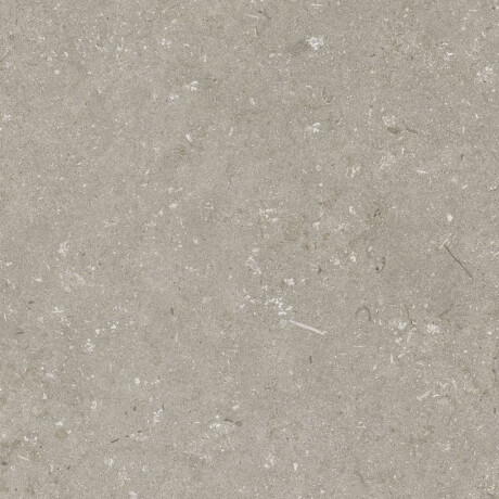 Gres para suelo de 60 x 120 cm, color taupe mate, A4H1102 Shellstone Taupe #4