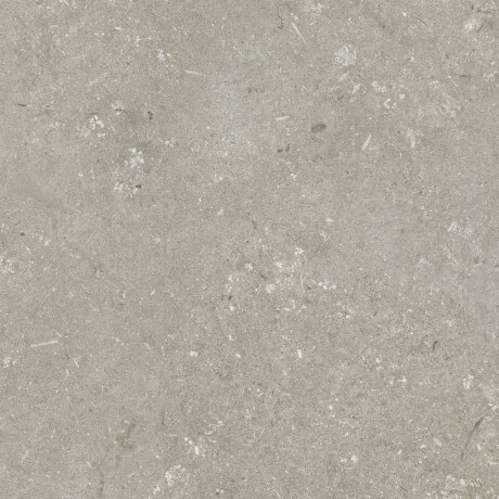 Gres para suelo de 60 x 120 cm, color taupe mate, A4H1102 Shellstone Taupe #5