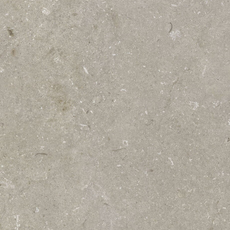 Gres para suelo de 60 x 120 cm, color taupe mate, A4H1102 Shellstone Taupe #6