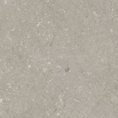 Gres para suelo de 60 x 120 cm, color taupe mate, A4H1102 Shellstone Taupe #7