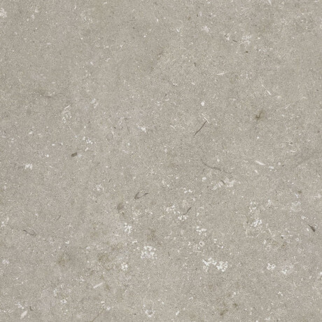 Gres para suelo de 60 x 120 cm, color taupe mate, A4H1102 Shellstone Taupe #8