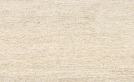 Gres para suelo con aspecto de madera, 23 x 120, en color ámbar claro mate, A4H503 Amberly Light