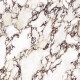 Gres de gran formato 120x280, mármol con vetas moradas, acabado brillante A4H840 Calakatta Wiola #4
