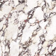 Gres de gran formato 120x280, mármol con vetas moradas, acabado brillante A4H840 Calakatta Wiola #6