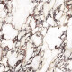 Gres de gran formato 120x280, mármol con vetas moradas, acabado brillante A4H840 Calakatta Wiola #7