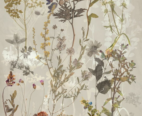 Azulejo de gres para pared de 60 x 120 cm, gris con motivos florales, acabado mate, A4H919 Glame