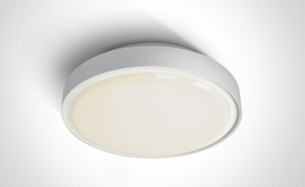 Lámpara de techo RAFTI AN, 24 W, 3000 K, IP65, antracita