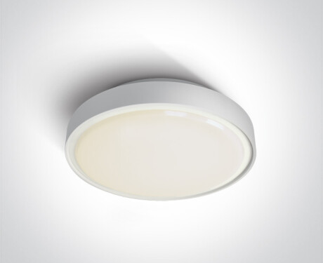 Lámpara de techo RAFTI AN, 24 W, 3000 K, IP65, antracita