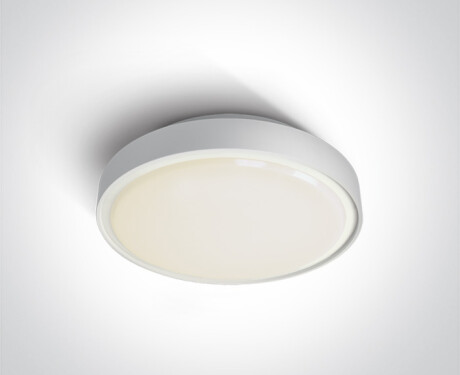 RAFTI E, lámpara de techo de 12 W, IP65, gris
