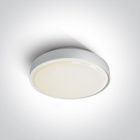 RAFTI E, lámpara de techo de 12 W, IP65, gris #1