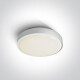 RAFTI E, lámpara de techo de 12 W, IP65, gris #1