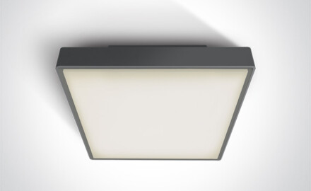 RAFTI N, lámpara de techo de 16 W, 3000 K, IP65, blanca