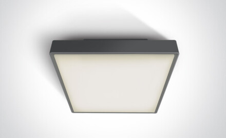 PIRNARI EA, lámpara de techo 2x12 W, E27, IP65, blanco